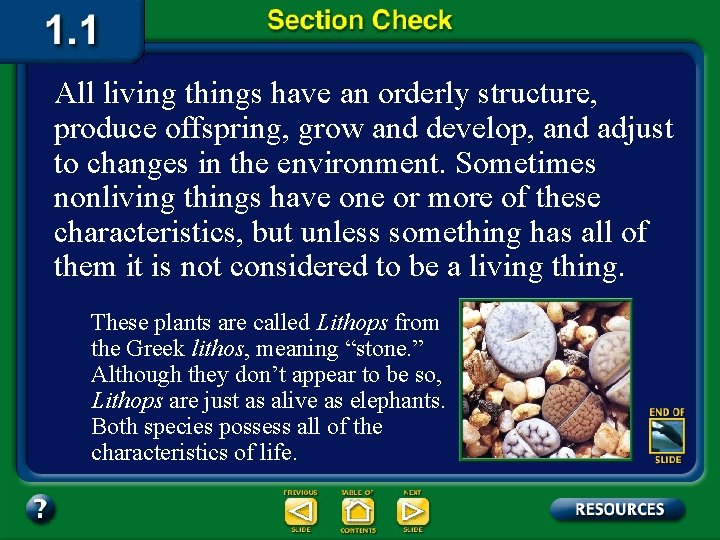 All living things have an orderly structure, produce offspring, grow and develop, and adjust