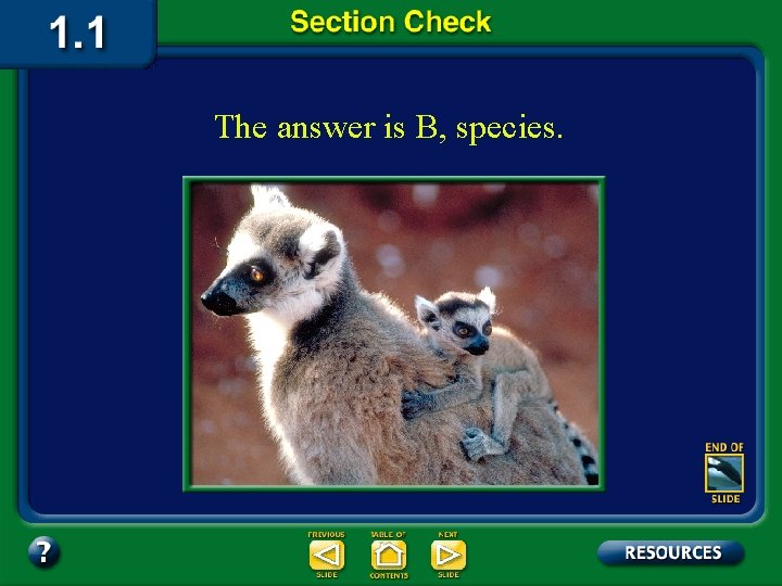 The answer is B, species. 