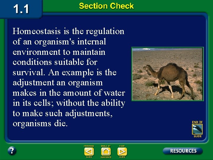 Homeostasis is the regulation of an organism's internal environment to maintain conditions suitable for