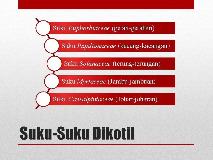 Suku Euphorbiaceae (getah-getahan) Suku Papilionaceae (kacang-kacangan) Suku Solanaceae (terung-terungan) Suku Myrtaceae (Jambu-jambuan) Suku Caesalpiniaceae
