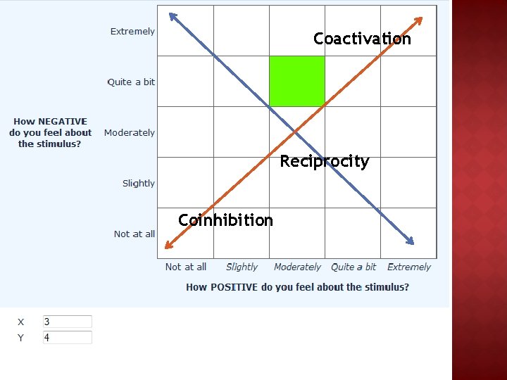 Coactivation Reciprocity Coinhibition 