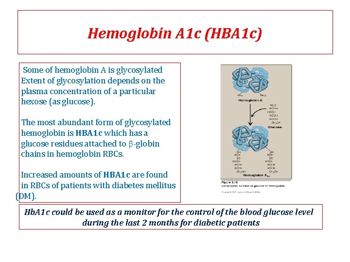 Hemoglobin A 1 c (HBA 1 c) Some of hemoglobin A is glycosylated Extent Hemoglobin A 1 c (HBA 1 c) Some of hemoglobin A is glycosylated Extent