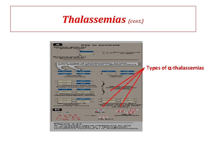 Thalassemias (cont. ) Types of a-thalassemias Thalassemias (cont. ) Types of a-thalassemias