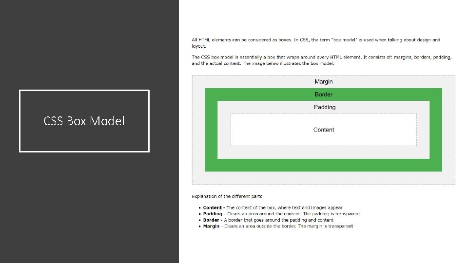CSS Box Model CSS Box Model