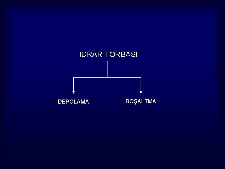 İDRAR TORBASI DEPOLAMA BOŞALTMA 