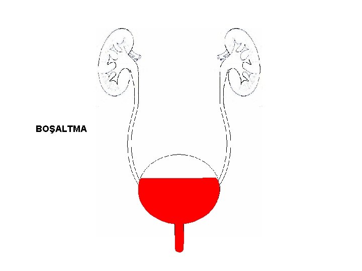 BOŞALTMA 