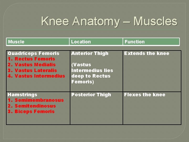 Knee Anatomy – Muscles Muscle Location Function Quadriceps Femoris 1. Rectus Femoris 2. Vastus