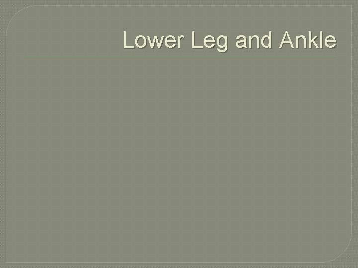 Lower Leg and Ankle 