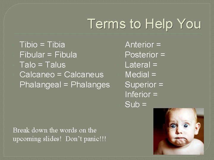 Terms to Help You Tibio = Tibia Fibular = Fibula Talo = Talus Calcaneo