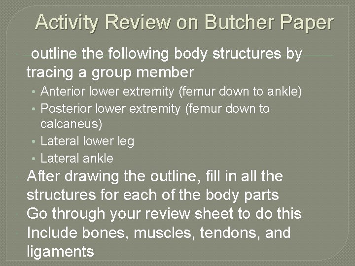 Activity Review on Butcher Paper outline the following body structures by tracing a group