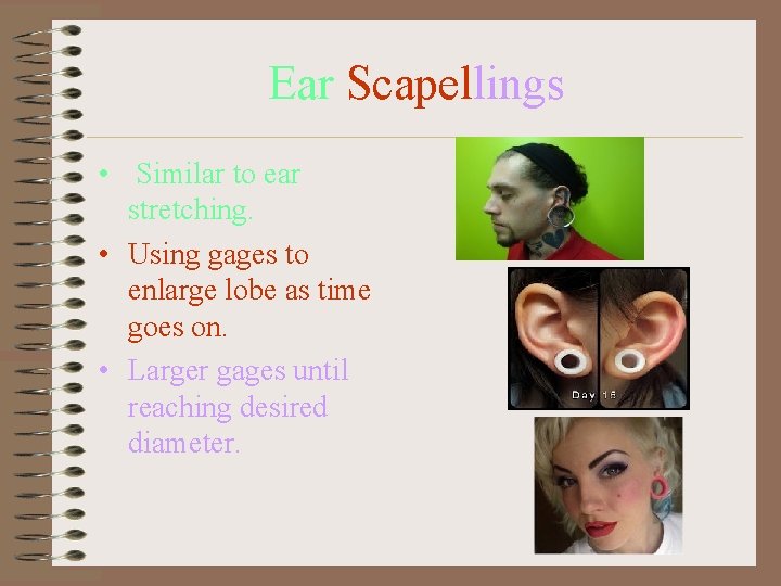 Ear Scapellings • Similar to ear stretching. • Using gages to enlarge lobe as