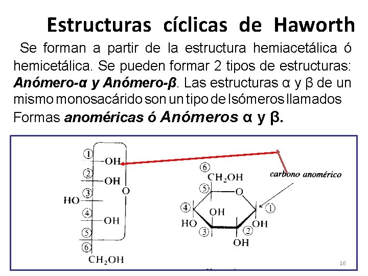 Estructuras cíclicas de Haworth Se forman a partir de la estructura hemiacetálica ó hemicetálica.