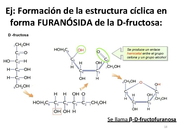 Ej: Formación de la estructura cíclica en forma FURANÓSIDA de la D-fructosa: Se llama