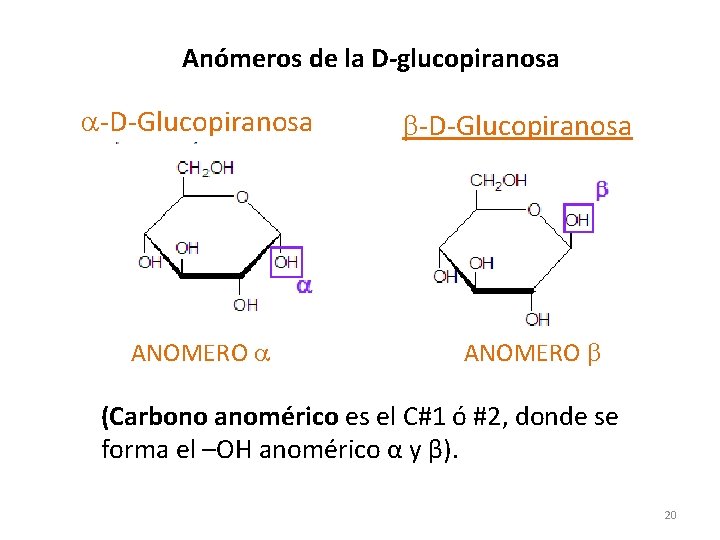 Anómeros de la D-glucopiranosa a-D-Glucopiranosa ANOMERO a b-D-Glucopiranosa ANOMERO b (Carbono anomérico es el