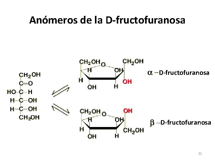 Anómeros de la D-fructofuranosa 21 