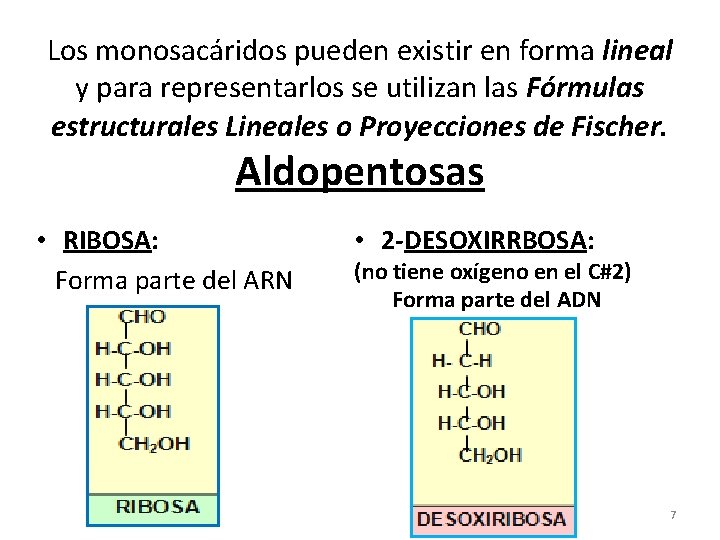 Los monosacáridos pueden existir en forma lineal y para representarlos se utilizan las Fórmulas