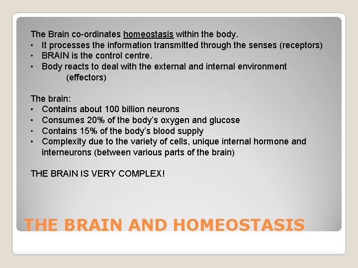 The Brain co-ordinates homeostasis within the body. • It processes the information transmitted through
