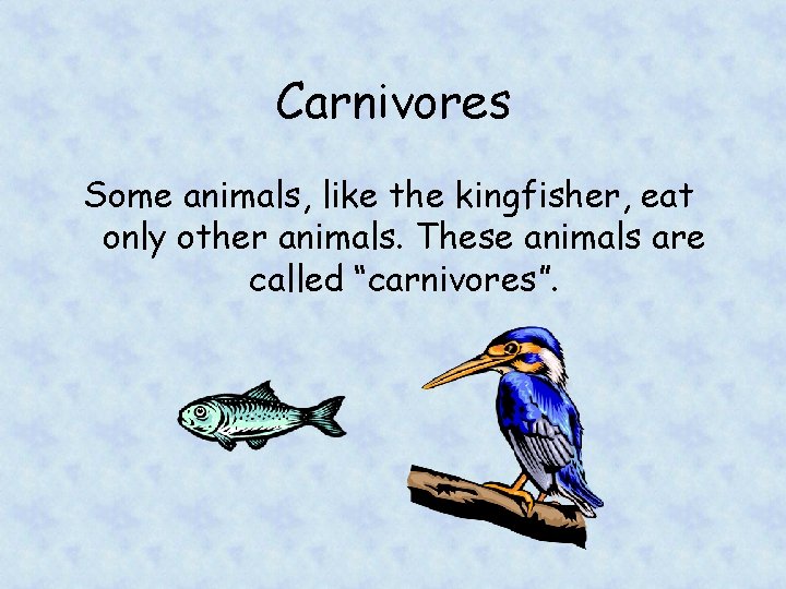 Carnivores Some animals, like the kingfisher, eat only other animals. These animals are called