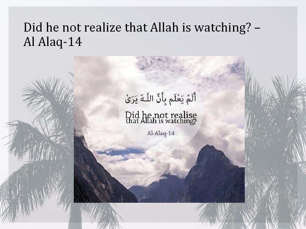 Did he not realize that Allah is watching? – Al Alaq-14 