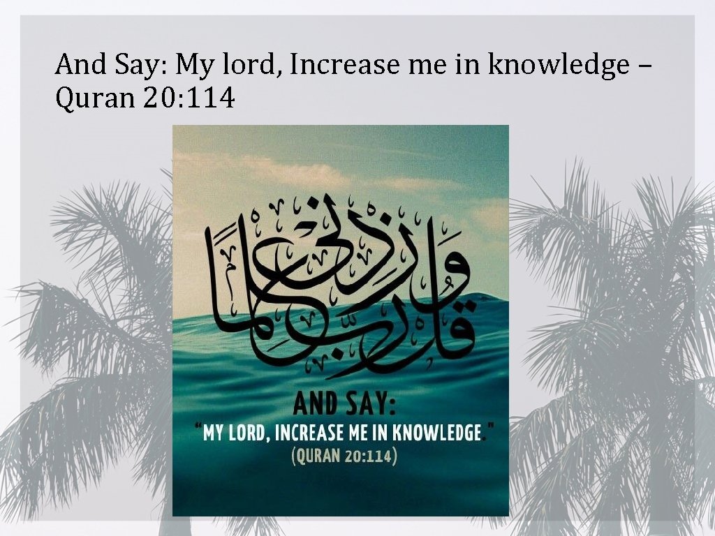 And Say: My lord, Increase me in knowledge – Quran 20: 114 