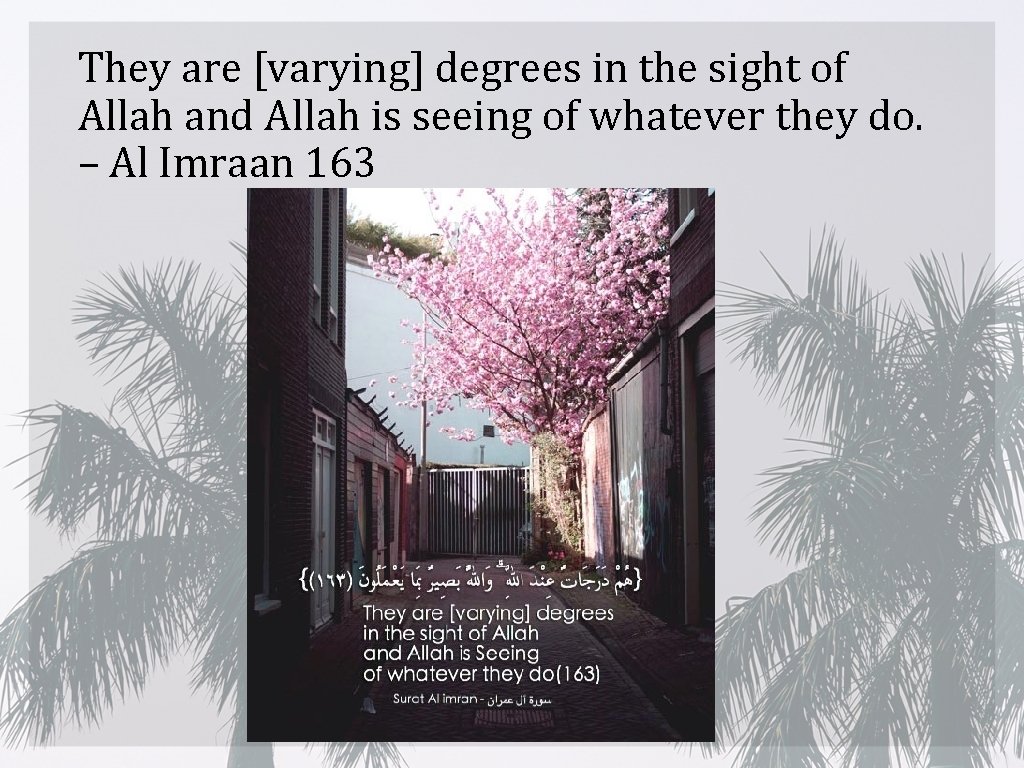 They are [varying] degrees in the sight of Allah and Allah is seeing of