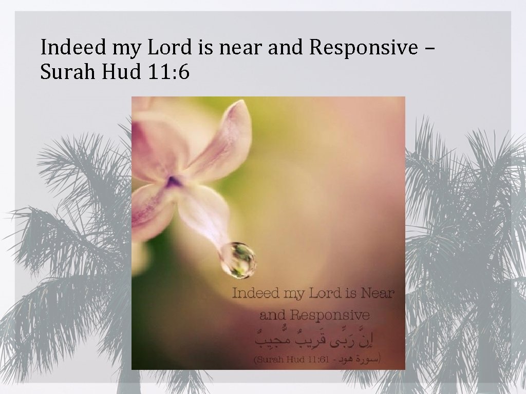 Indeed my Lord is near and Responsive – Surah Hud 11: 6 