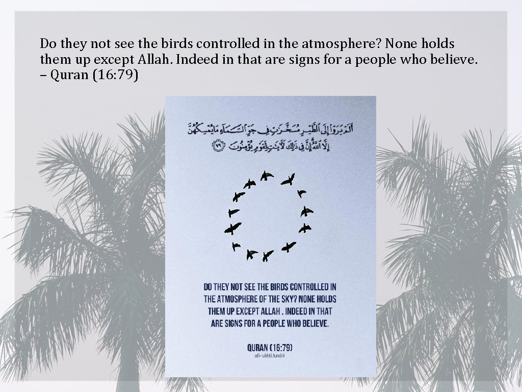 Do they not see the birds controlled in the atmosphere? None holds them up