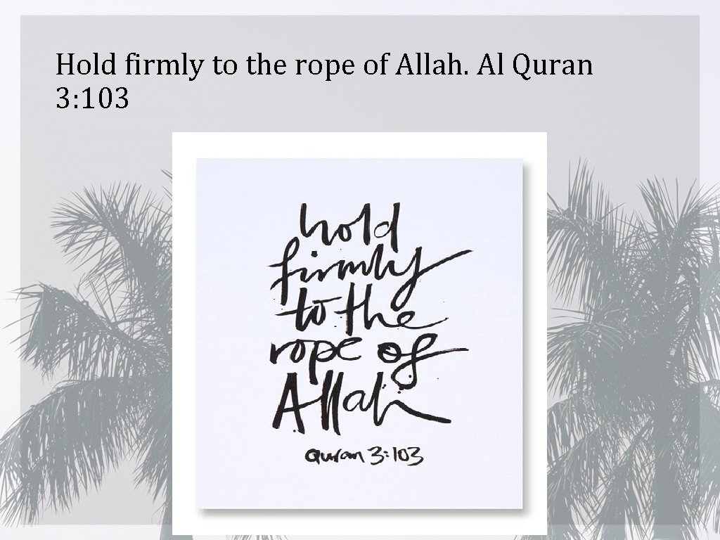 Hold firmly to the rope of Allah. Al Quran 3: 103 