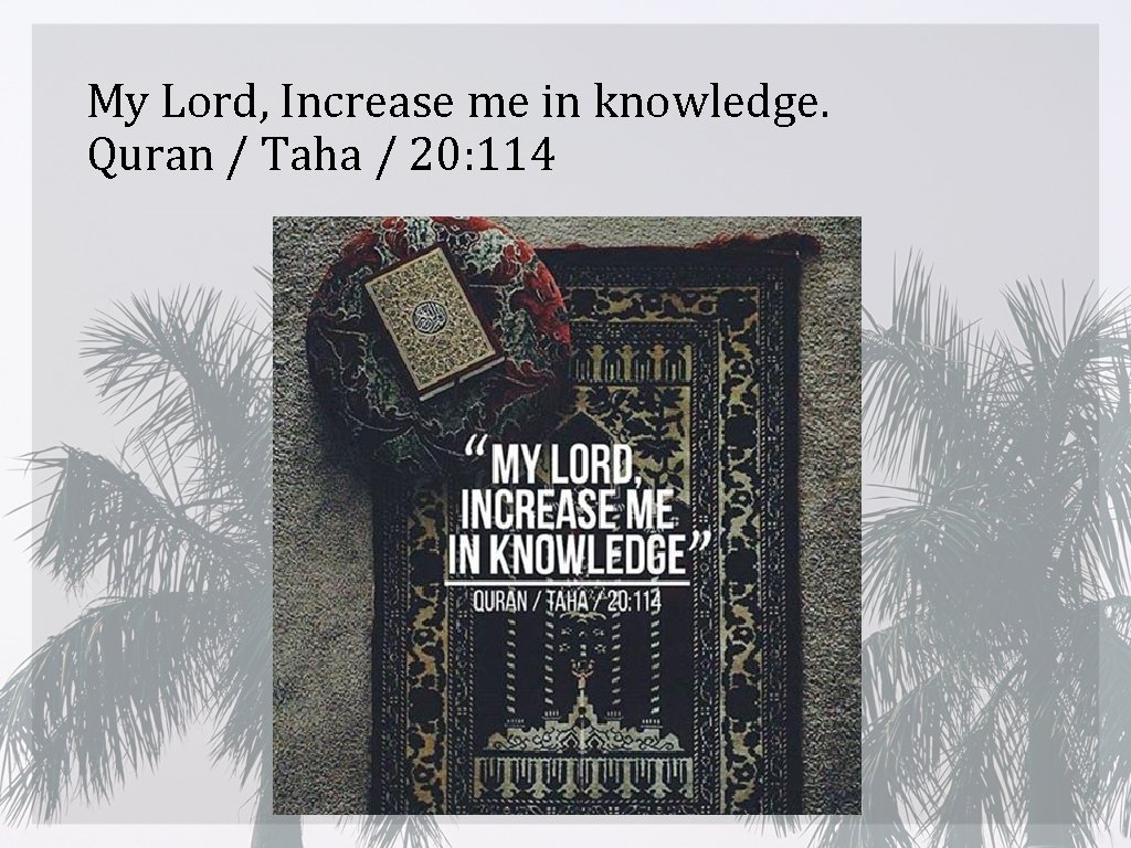 My Lord, Increase me in knowledge. Quran / Taha / 20: 114 