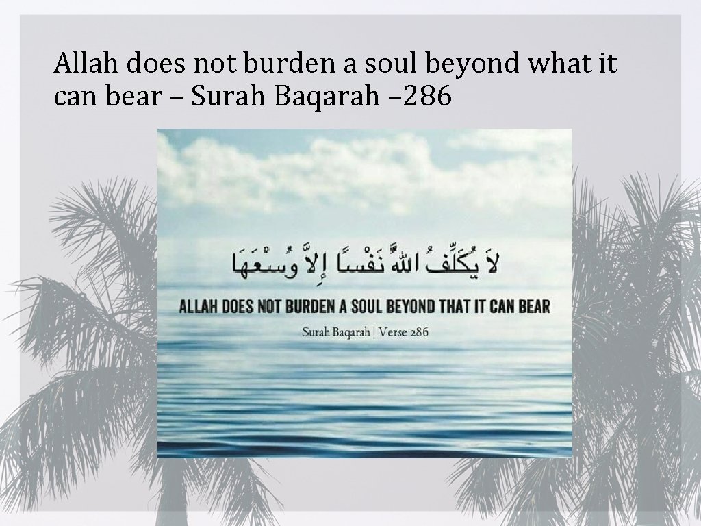 Allah does not burden a soul beyond what it can bear – Surah Baqarah