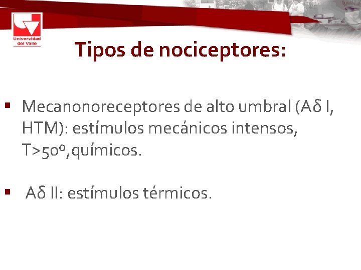 Tipos de nociceptores: § Mecanonoreceptores de alto umbral (Aδ I, HTM): estímulos mecánicos intensos,