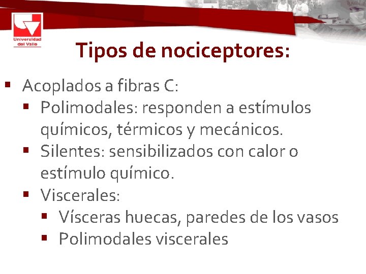 Tipos de nociceptores: § Acoplados a fibras C: § Polimodales: responden a estímulos químicos,