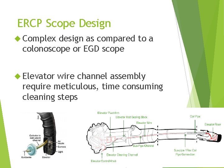 ERCP Scope Design Complex design as compared to a colonoscope or EGD scope Elevator