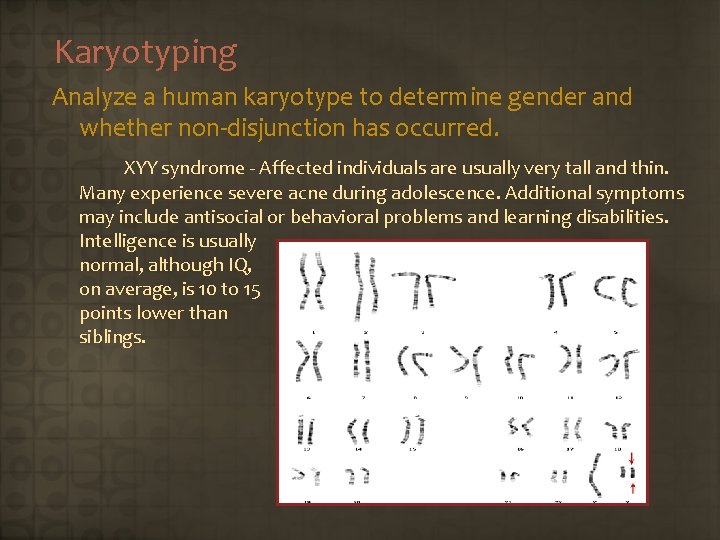 Karyotyping Analyze a human karyotype to determine gender and whether non-disjunction has occurred. XYY
