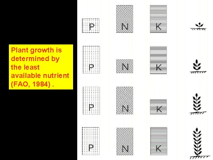 Plant growth is determined by the least available nutrient (FAO, 1984). 