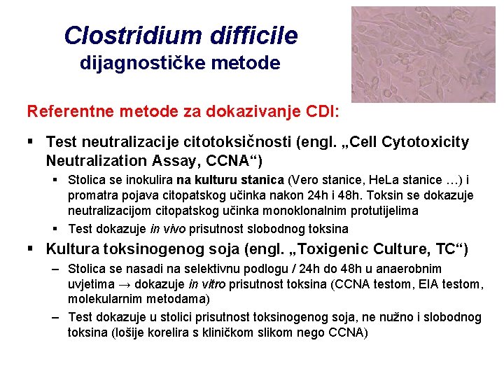 Clostridium difficile dijagnostičke metode Referentne metode za dokazivanje CDI: § Test neutralizacije citotoksičnosti (engl.