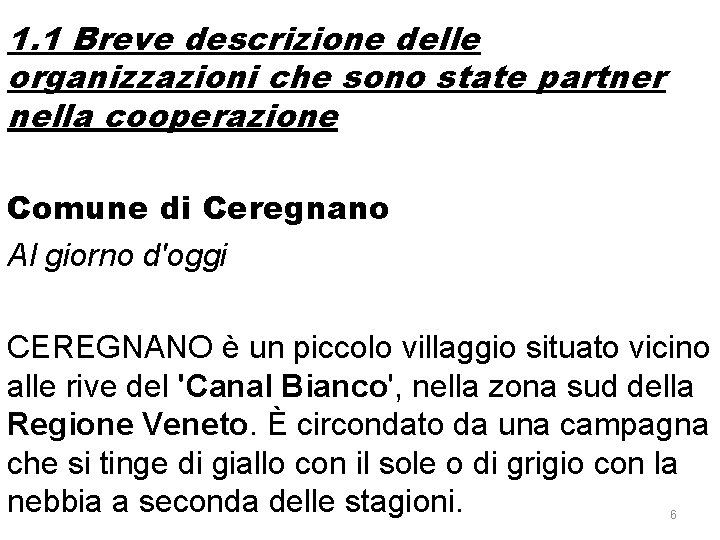 1. 1 Breve descrizione delle organizzazioni che sono state partner nella cooperazione Comune di