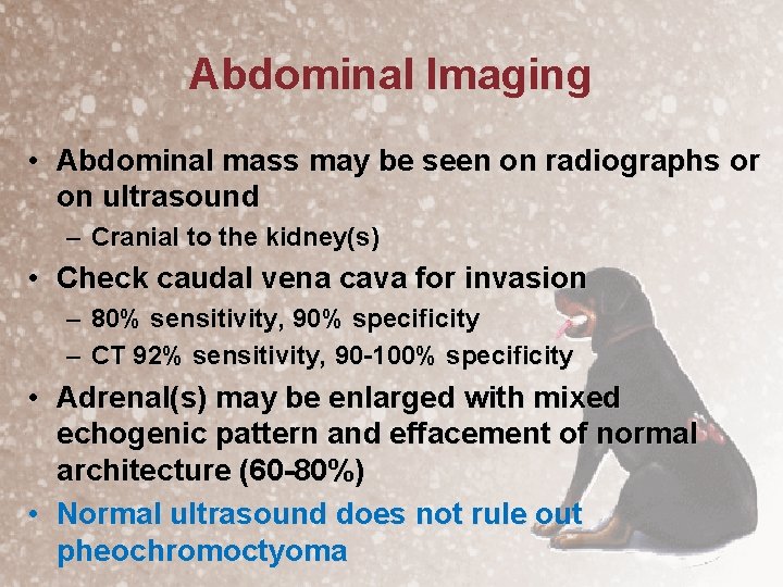 Abdominal Imaging • Abdominal mass may be seen on radiographs or on ultrasound –