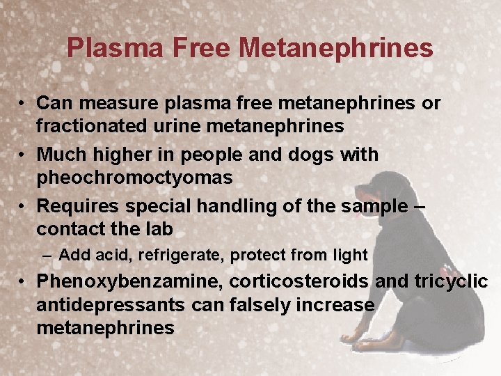 Plasma Free Metanephrines • Can measure plasma free metanephrines or fractionated urine metanephrines •