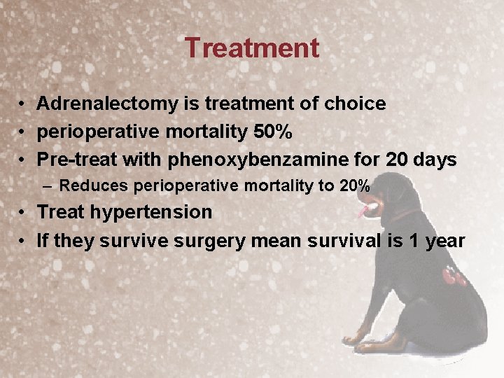 Treatment • Adrenalectomy is treatment of choice • perioperative mortality 50% • Pre-treat with
