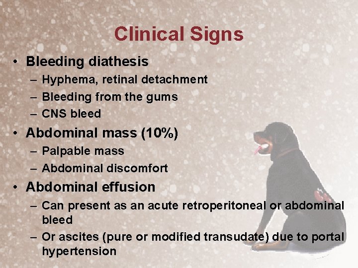 Clinical Signs • Bleeding diathesis – Hyphema, retinal detachment – Bleeding from the gums