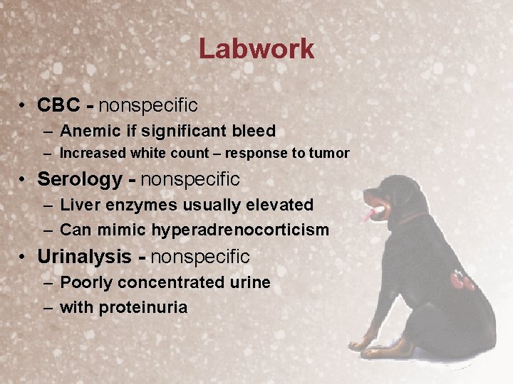 Labwork • CBC - nonspecific – Anemic if significant bleed – Increased white count