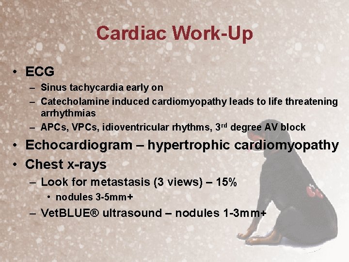 Cardiac Work-Up • ECG – Sinus tachycardia early on – Catecholamine induced cardiomyopathy leads