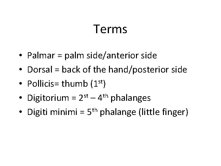 Terms • • • Palmar = palm side/anterior side Dorsal = back of the
