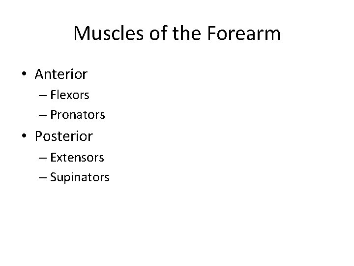 Muscles of the Forearm • Anterior – Flexors – Pronators • Posterior – Extensors