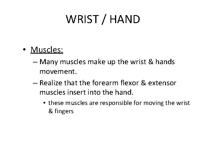 WRIST / HAND • Muscles: – Many muscles make up the wrist & hands