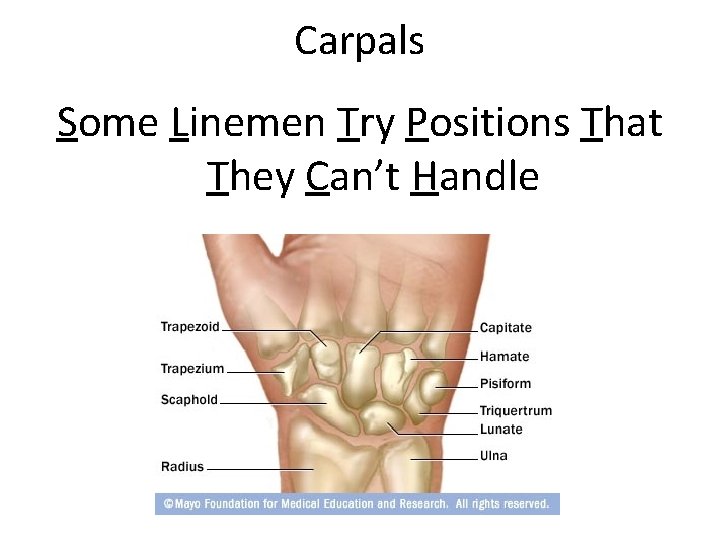 Carpals Some Linemen Try Positions That They Can’t Handle 