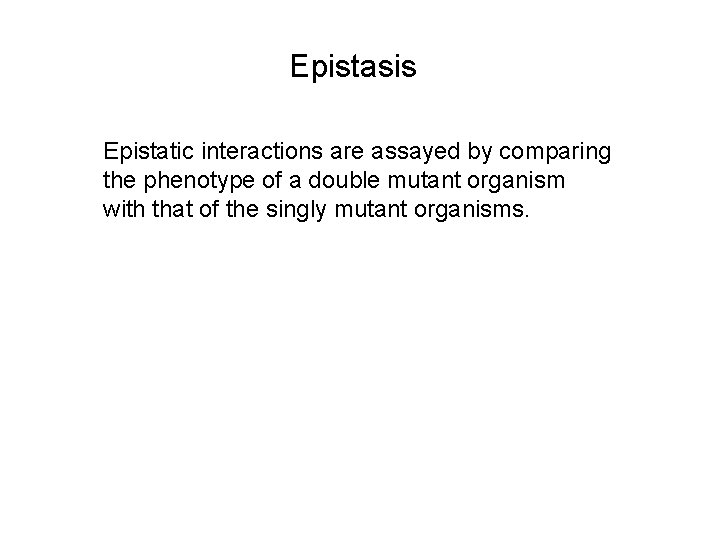 Epistasis Epistatic interactions are assayed by comparing the phenotype of a double mutant organism