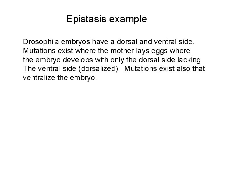 Epistasis example Drosophila embryos have a dorsal and ventral side. Mutations exist where the