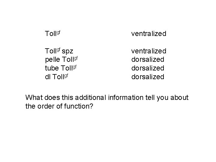 Tollgf ventralized Tollgf spz pelle Tollgf tube Tollgf dl Tollgf ventralized dorsalized What does